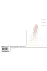 Artgame 5"x7" Postcard - Shuttle Launch / NASA (6 Pack)