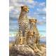 Royce 4"x6" Postcard - Cheetah (6 Pack)