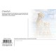 Royce 4"x6" Postcard - Cheetah (6 Pack)