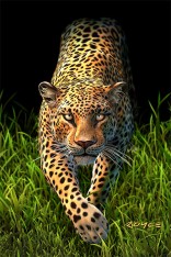 Royce 4"x6" Postcard - Leopard (6 Pack)