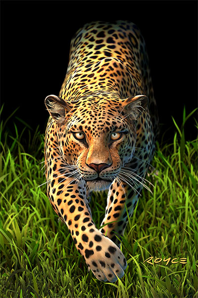 Royce 4"x6" Postcard - Leopard (6 Pack)