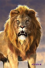 Royce 4"x6" Postcard - Lion (6 Pack)