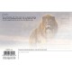 Royce 4"x6" Postcard - Lion (6 Pack)