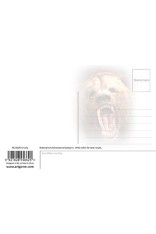 Royce 4"x6" Postcard - Grizzly (6 Pack)