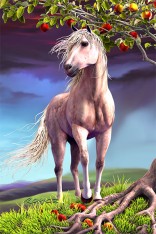 Royce 4"x6" Postcard - Horse Heaven (6 Pack)