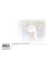 Royce 4"x6" Postcard - Horse Heaven (6 Pack)