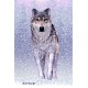 Royce 4"x6" Postcard - Snow Wolf (6 Pack)