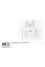 Royce 4"x6" Postcard - Snow Wolf (6 Pack)