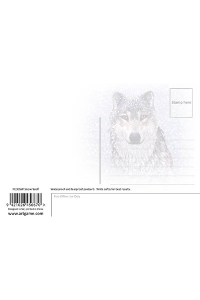 Royce 4"x6" Postcard - Snow Wolf (6 Pack)