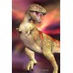 Royce 4"x6" Postcard - T-Rex (6 Pack)
