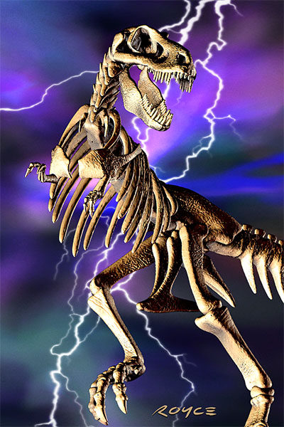 Royce 4"x6" Postcard - T-Rex (6 Pack)