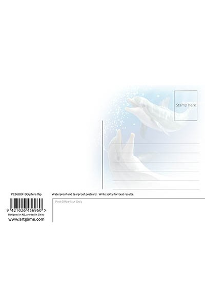 Royce 4"x6" Postcard - Dolphins Flip (6 Pack)