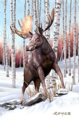 Royce 4"x6" Postcard - Wolf and Moose Flip (6 Pack)