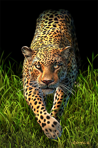 Royce 4"x6" Postcard - Big Cats Flip (6 Pack)