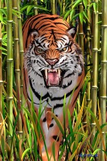 Royce 4"x6" Postcard - Big Cats Flip (6 Pack)