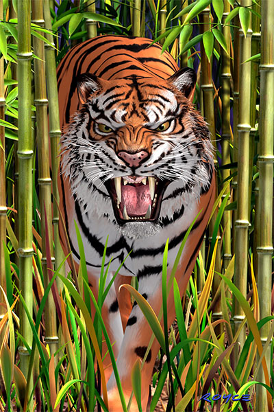 Royce 4"x6" Postcard - Big Cats Flip (6 Pack)