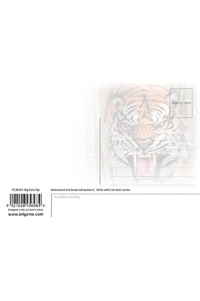 Royce 4"x6" Postcard - Big Cats Flip (6 Pack)