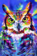 Royce 4"x6" Postcard - Owls Flip (6 Pack)