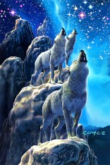 Royce 4"x6" Postcard - Wolves Flip (6 Pack)