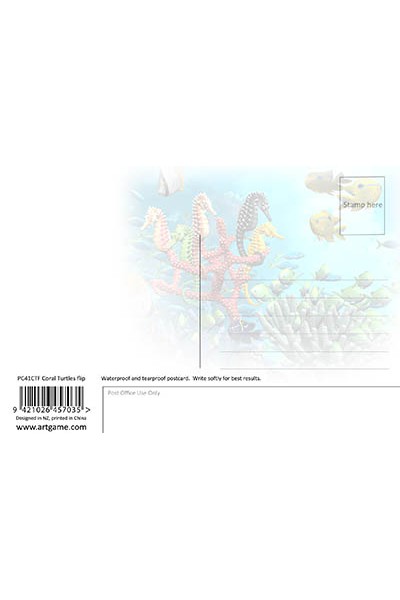 Royce 4"x6" Postcard - Coral Turtles Flip (6 Pack)