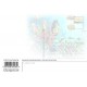 Royce 4"x6" Postcard - Coral Turtles Flip (6 Pack)