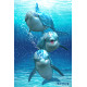 Royce 4"x6" Postcard - Dolphin Trio (6 Pack)