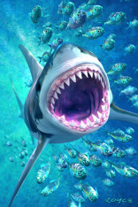Royce 4"x6" Postcard - Great White Flip (6 Pack)