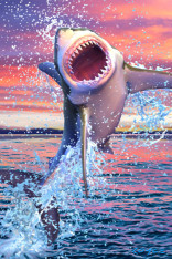 Royce 4"x6" Postcard - Great White Flip (6 Pack)