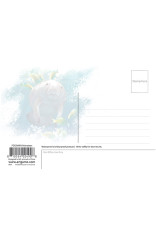 Royce 4"x6" Postcard - Manatee (6 Pack)
