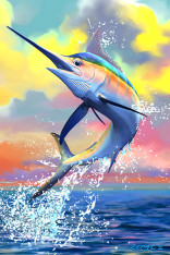 Royce 4"x6" Postcard - Marlin (6 Pack)