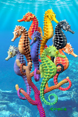 Royce 4"x6" Postcard - Seahorses (6 Pack)