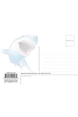 Royce 4"x6" Postcard - Shark Club (6 Pack)