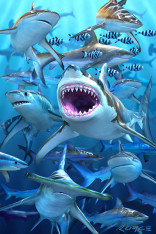 Royce 4"x6" Postcard - Shark Club (6 Pack)