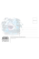 Royce 4"x6" Postcard - Shipwreck (6 Pack)