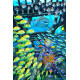 Royce 4"x6" Postcard - Shipwreck (6 Pack)