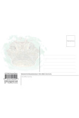 Royce 4"x6" Postcard - Swamp Gators(6 Pack)