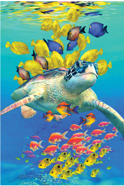 Royce 4"x6" Postcard - Turtle Reef (6 Pack)