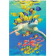 Royce 4"x6" Postcard - Turtle Reef (6 Pack)