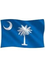 Royce 4"x6" Flag Postcard - Palmetto (South Carolina) (6 Pack)