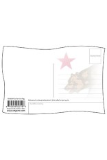 Royce 4"x6" Flag Postcard - Californian (6 Pack)