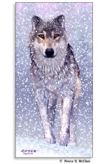 Royce Poster - Snow Wolf (1 Pack)