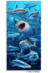 Royce Poster - Sharks (1 Pack)