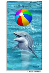 Royce Poster - Beach Ball (1 Pack)