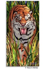 Royce Poster - Tiger Trouble (1 Pack)