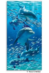Royce Poster - Dolphins (1 Pack)