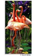 Royce Poster - Flamingos (1 Pack)