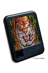 Royce Slide Puzzle - Tiger Trouble (3 Pack)