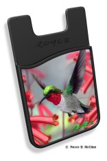 Royce Phone Pocket -Hummingbirds (4 Pack)