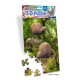 Royce 60pc Mini Puzzle - Kiwi (4 Pack)