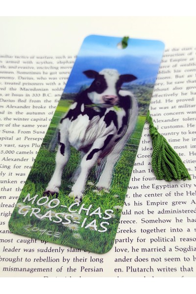 Gift Bookmarks - Daisy - Moo-Chas Grass-Ias (6 Pack)